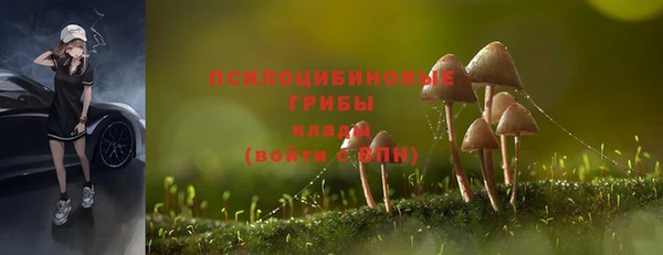 MDMA Premium VHQ Гусиноозёрск