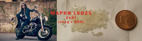 крисы Гусев
