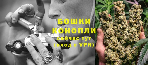 крисы Гусев