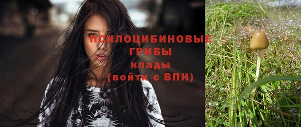 mdpv Дмитров
