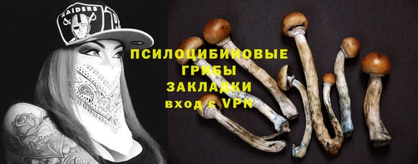 крисы Гусев