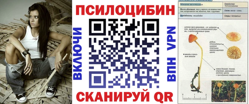 Купить закладки  Кстово  Псилоцибиновые грибы MAGIC MUSHROOMS 